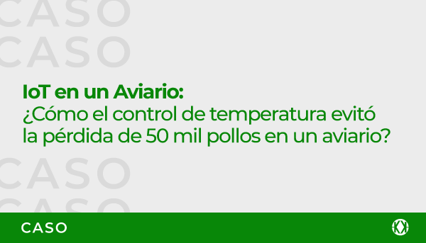 Caso IoT en un Aviario | ¿Cómo el control de temperatura evitó la pérdida de 50 mil pollos en un aviario?